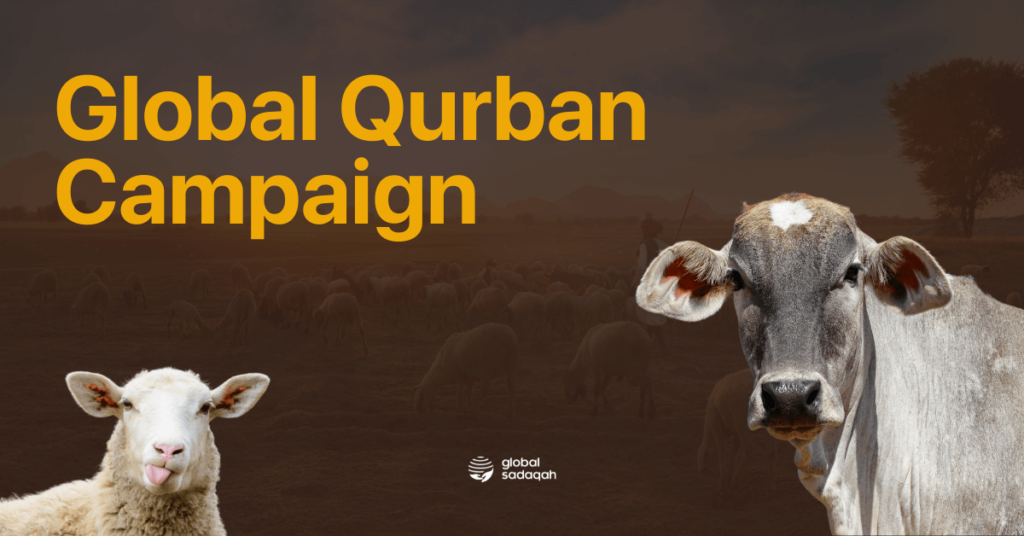 Global Qurban: Donate or Offer Qurban to the Underserved in These 16 Countries