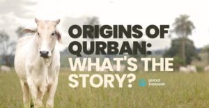 Origins of Qurban
