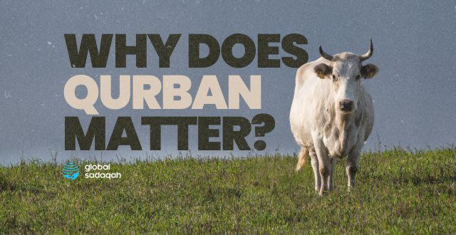 Why does Qurban matter?